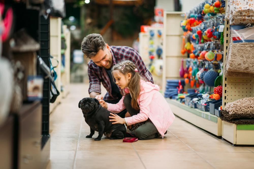 a girl and her father in a pet shop choosing what to buy for their pug