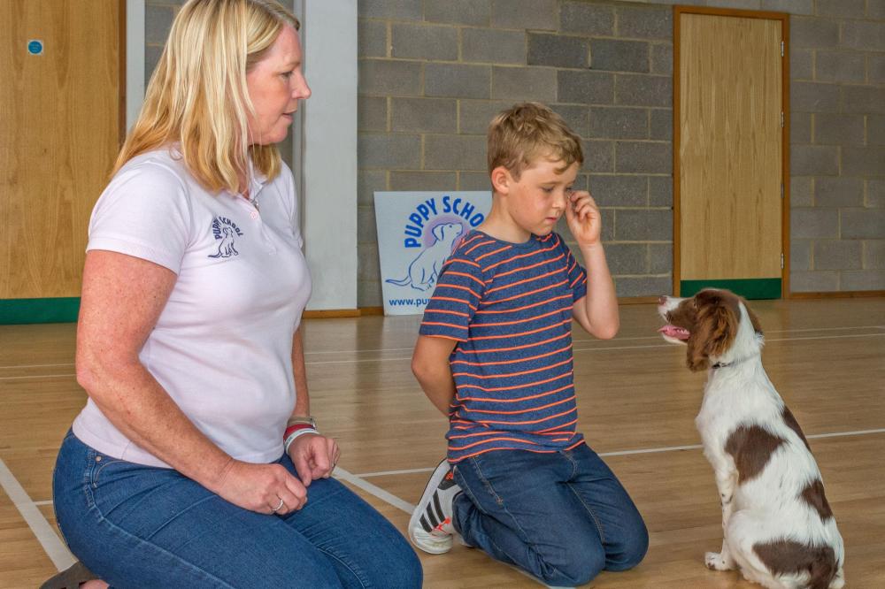 Child training puppy