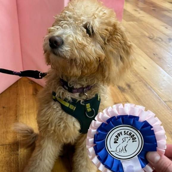 Doris with rosette