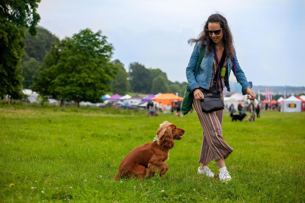 Florence the cocker spaniel with owner at walking on field