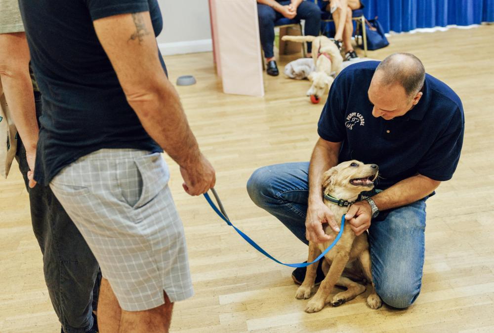 Friendly tutor greeting Golden Retriever puppy to class