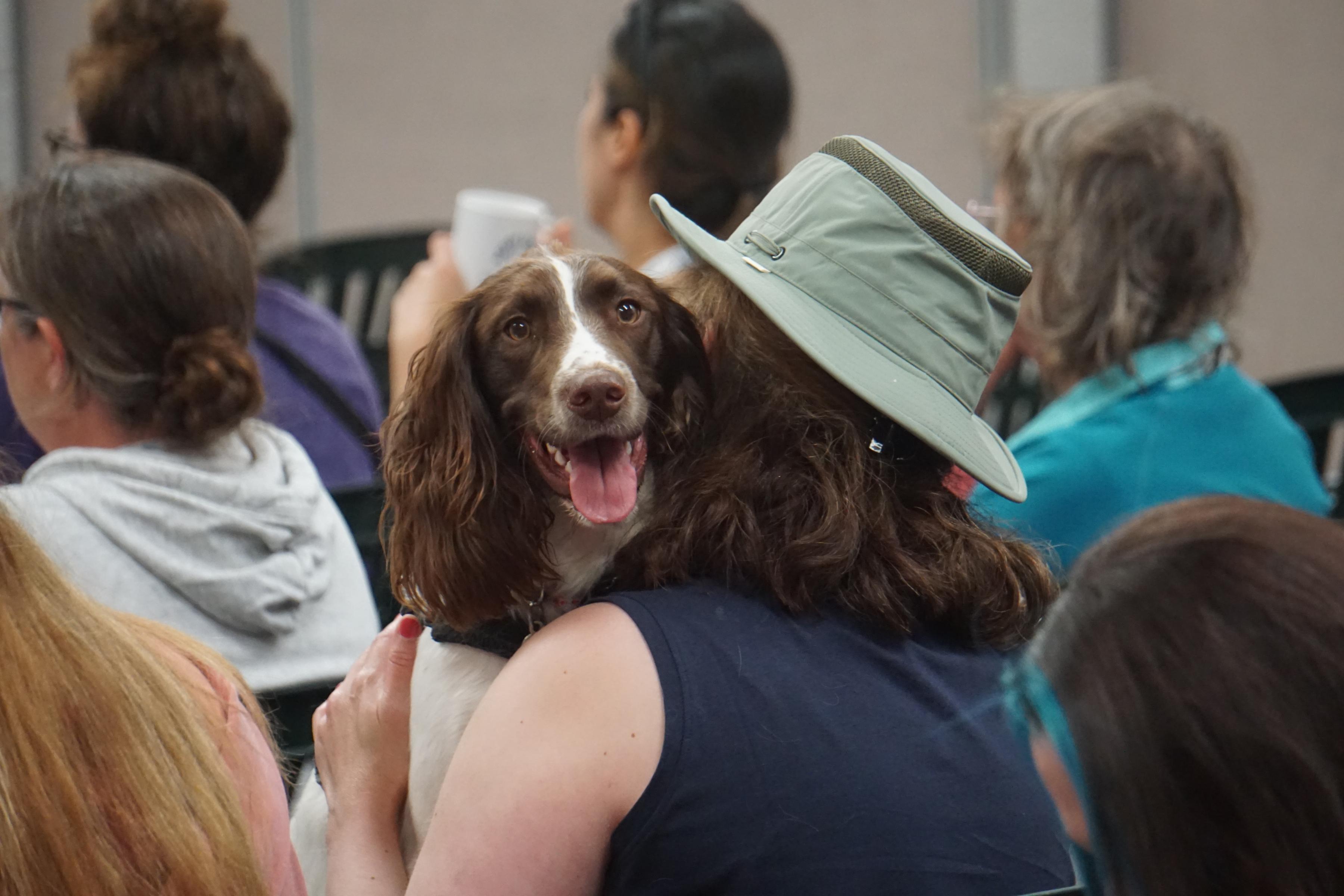 Learning Together at the Puppy School Conference