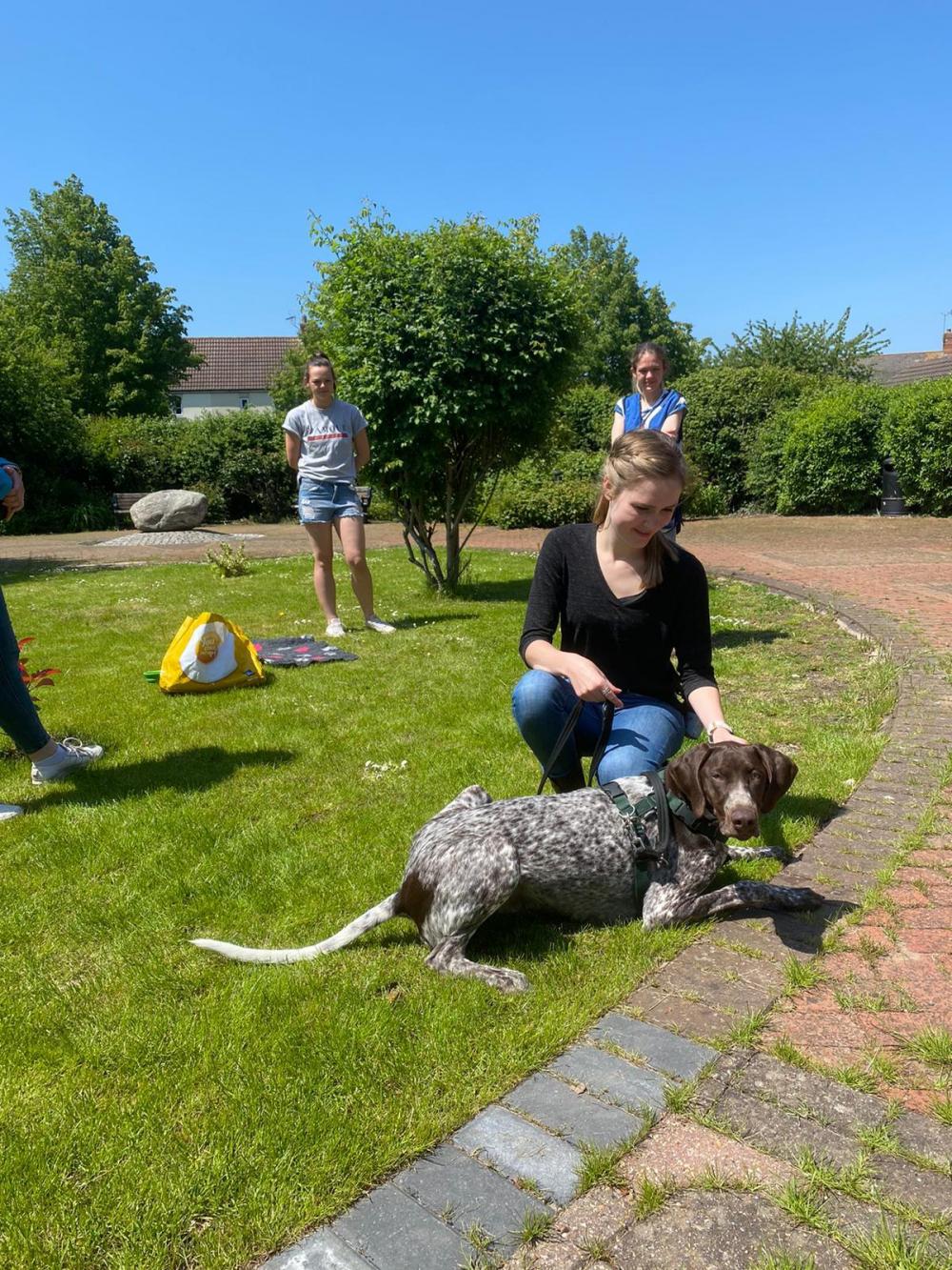 Pointer puppy with a tutor in training during a practical assessment