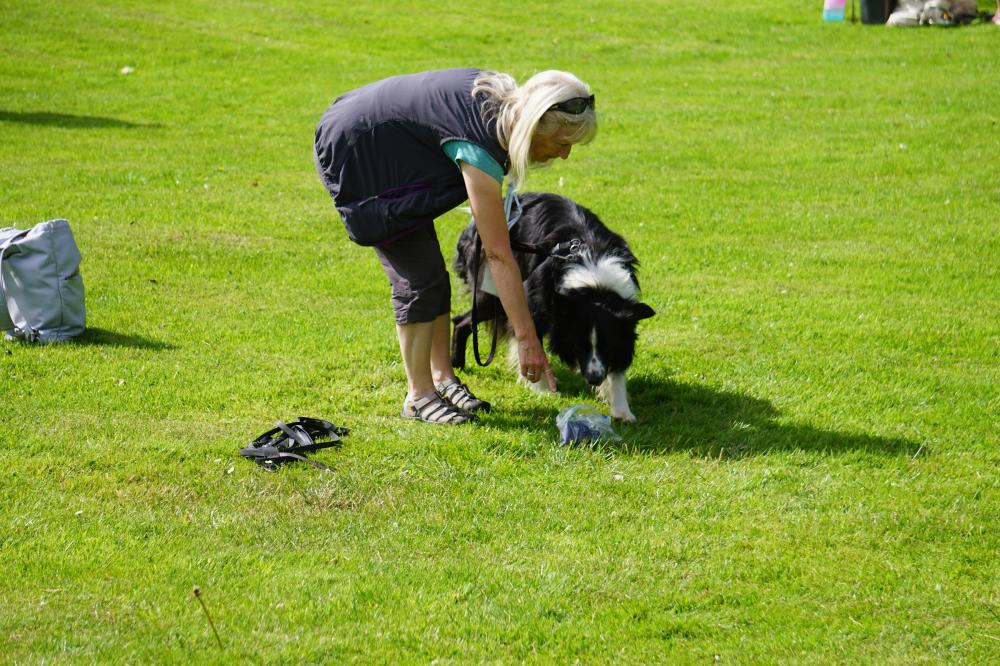 PS Tutor with dog taking scent