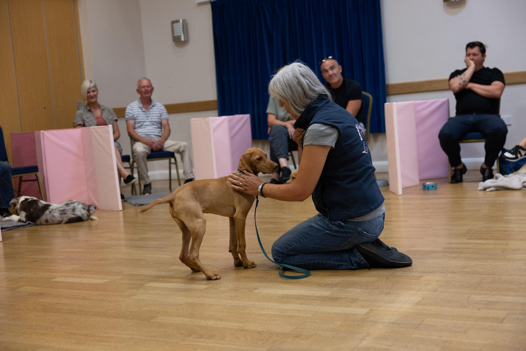 Pup being handled