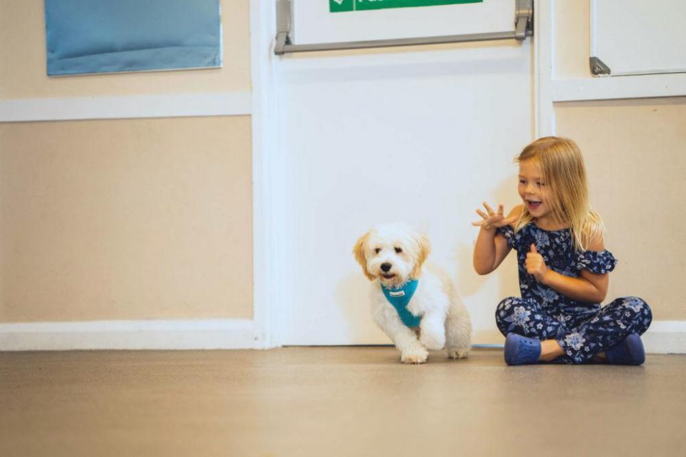 puppy at puppy classes with child