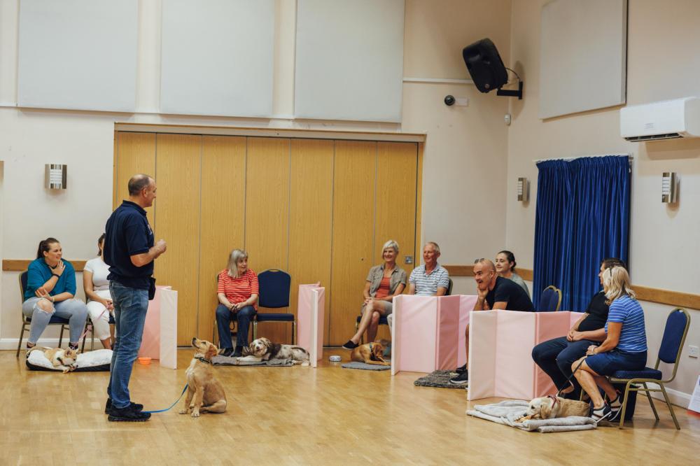 Puppy Class with Tutor Talking to owners and Retriever puppy sat in front