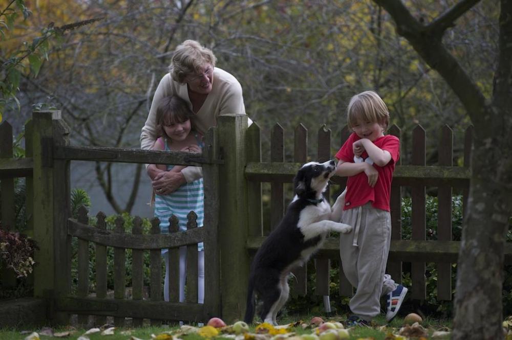 Puppy jumping at child