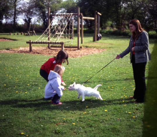 Puppy meeting children