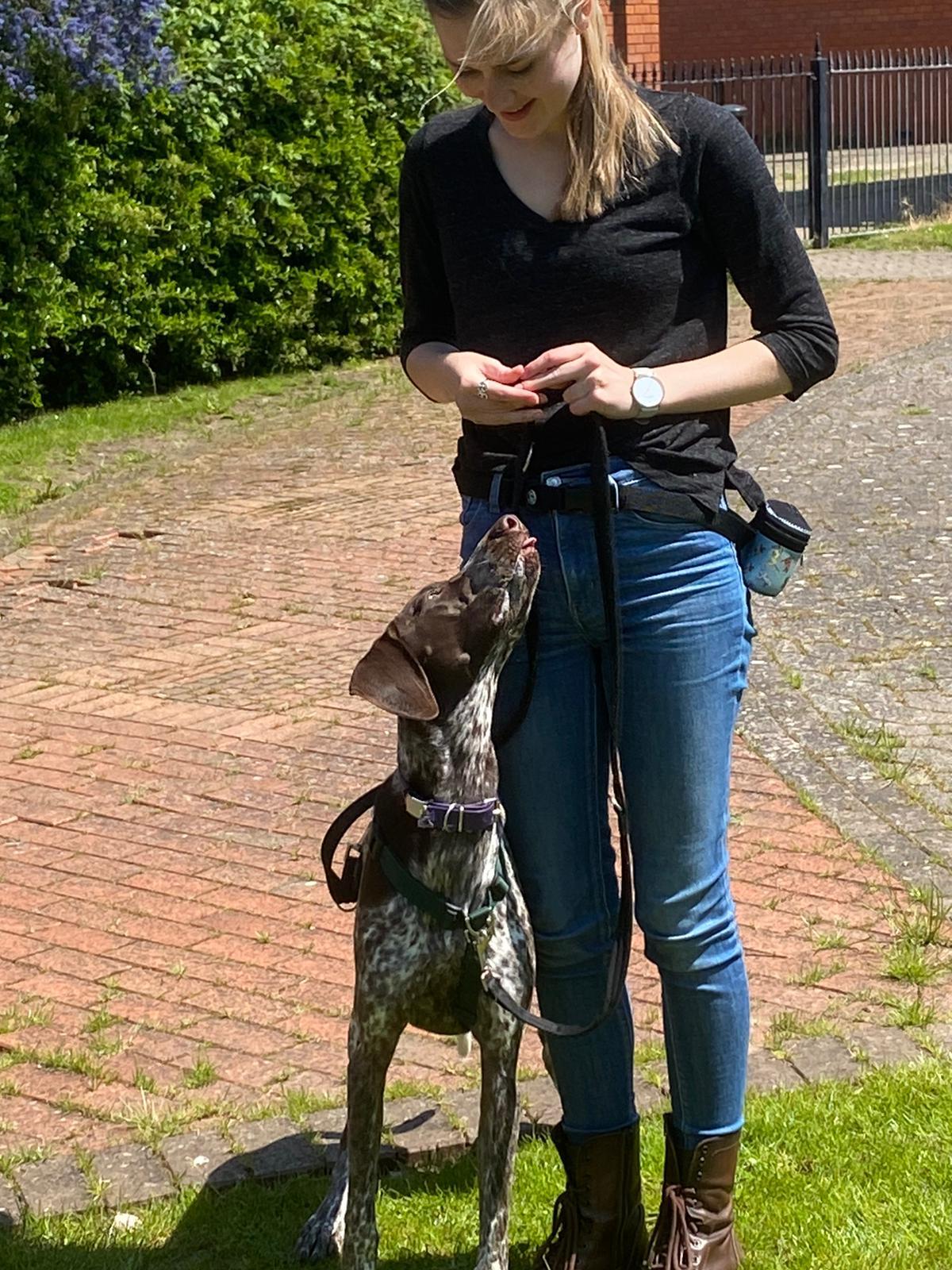 Puppy School tutor familiar with rewards for class