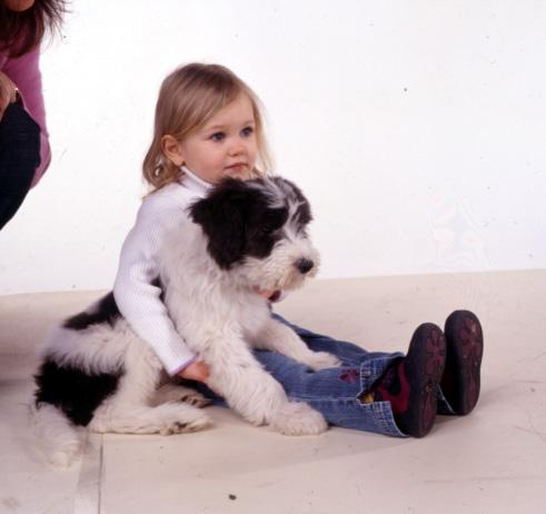 Puppy sitting with young child