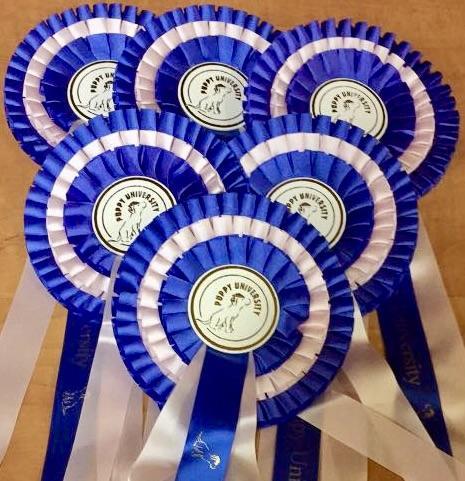 Puppy Uni rosettes