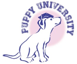 Puppy University