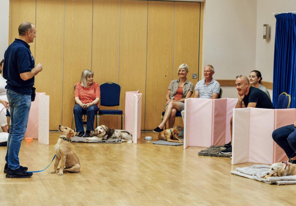 Qualified tutor teaching class of new puppy parents