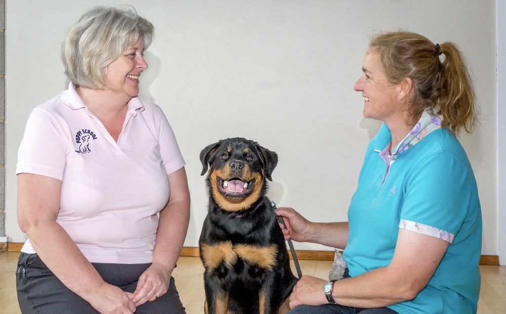 Smiling tutor sat with Rottweiler puppy in local class