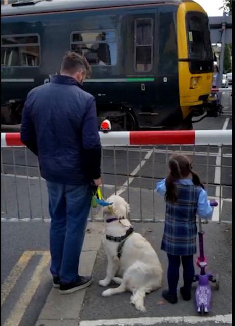 Socialisation around trains