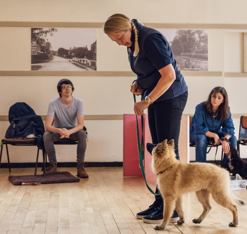 Tutor demostrating lead walking with Belgian Shepherd puppy to owners