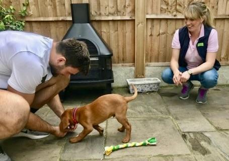 Tutor describing to an owner what being a part of Puppy School means to them