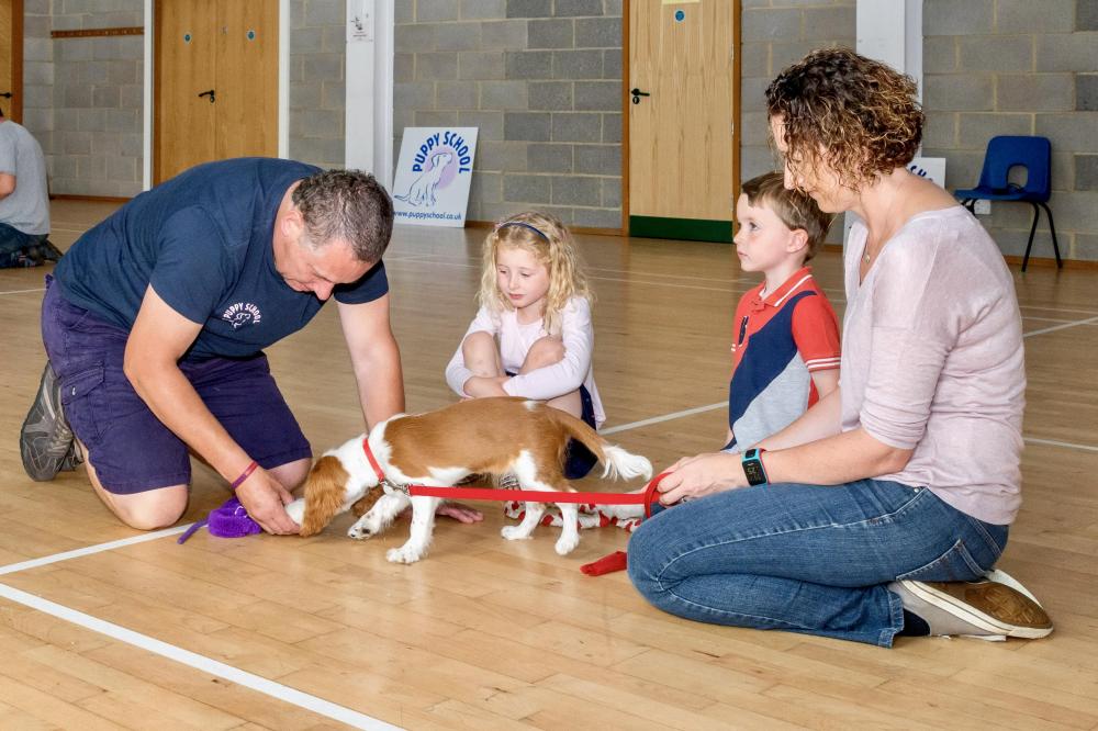 Tutor showing calm and friendly skills working with a young family