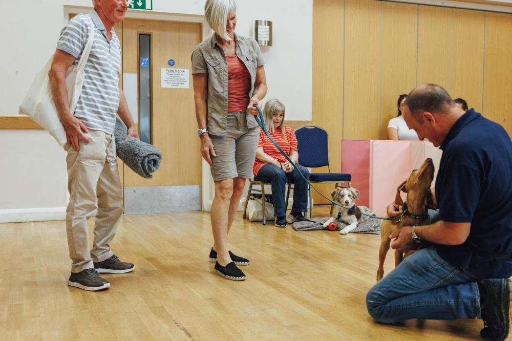 Tutor welcoming a Viszla puppy to class with owners