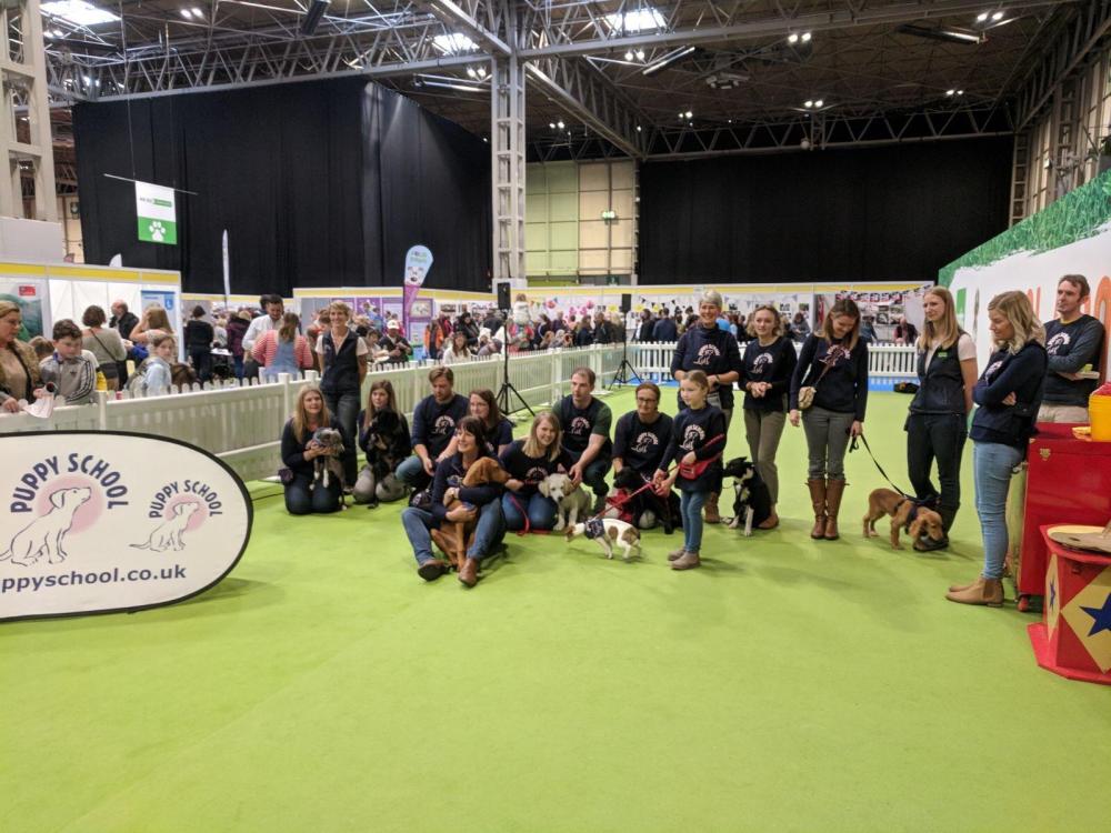 Tutors demonstrating their skills and expertise at a London dog show