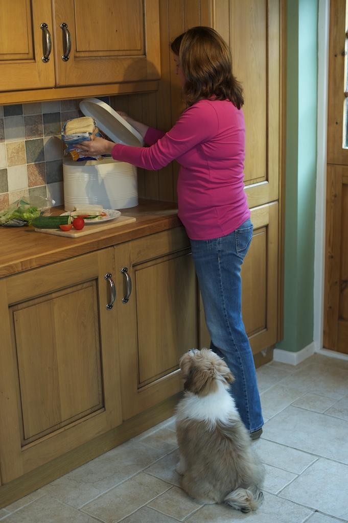 Waiting patiently in kitchen