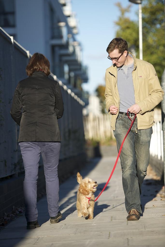 Walking nicely on lead