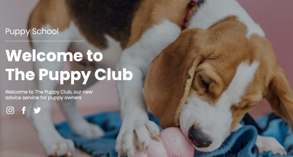 The Puppy Club